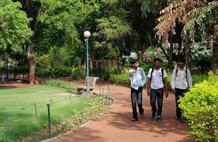 Best Time To Visit Law Garden In Ahmedabad