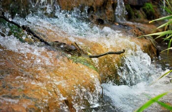 Waterfall View