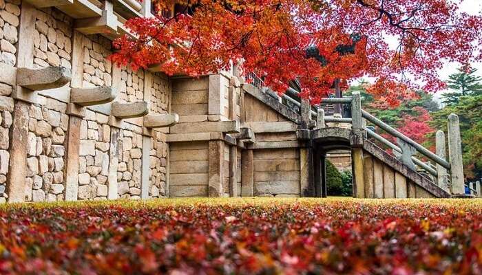 Bulguksa Temple View In Korea