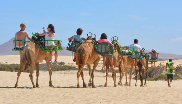 Camel Ride