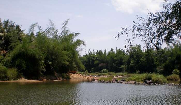 Chauvery River in Coorg