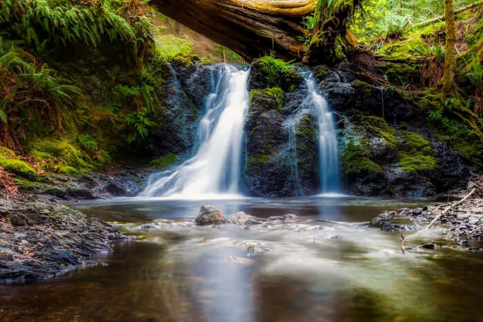 Chase Waterfalls