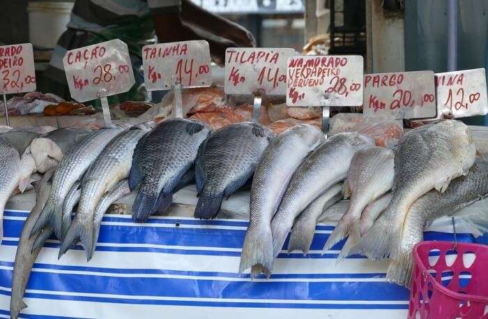 Fish Market