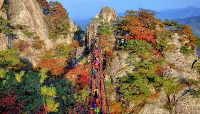 Daedunsan Mountain View