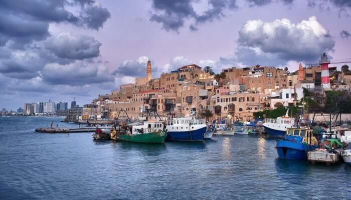 Jaffa city View