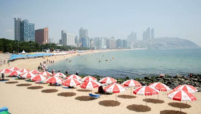 Haeundae Beach In Busan