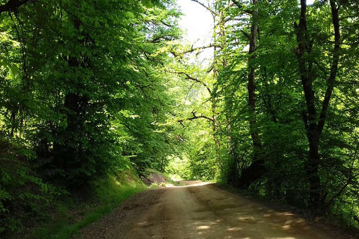 Hirkan National Park