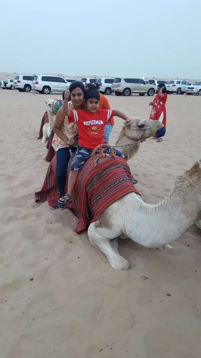 camel safari