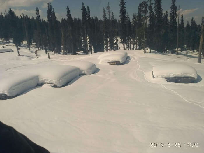 amazing view of snow mountains