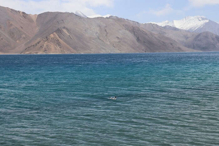 Pangong lake