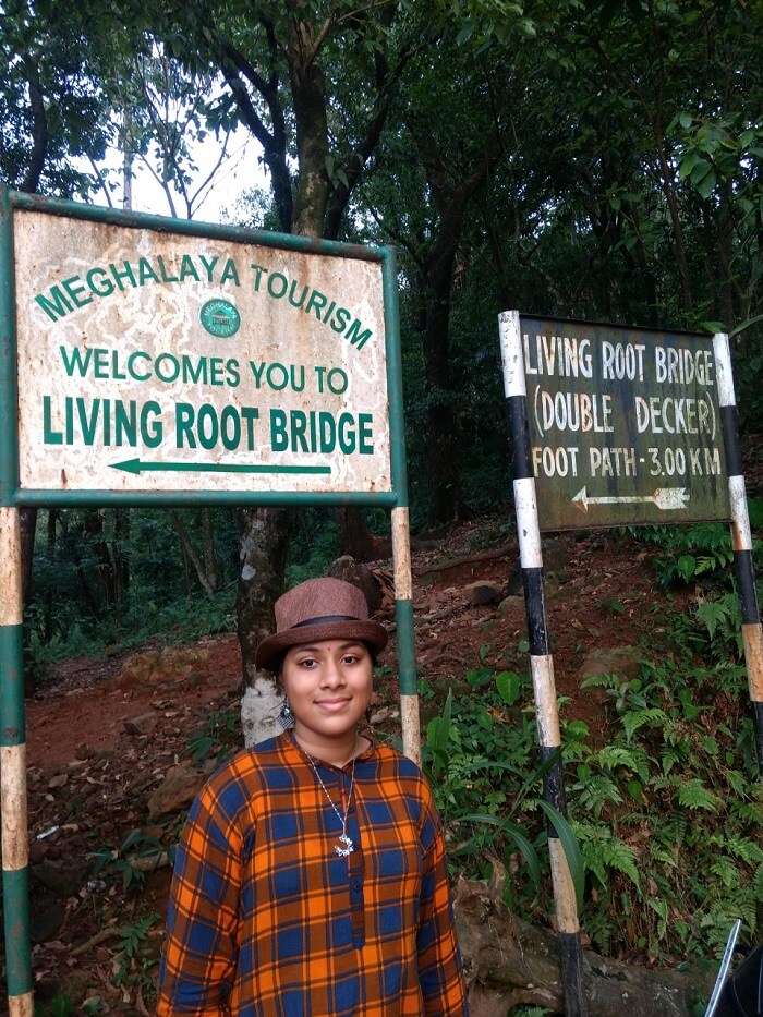 living root bridge