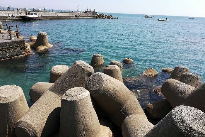 rocks on the beach