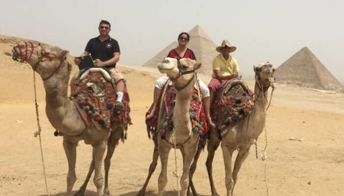 camel riding