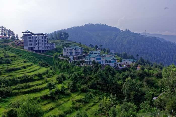 summer vacation in shimla essay