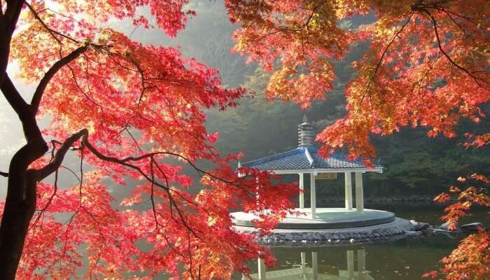 Autumn In Korea: 9 Stunning Places You Should Visit In 2022