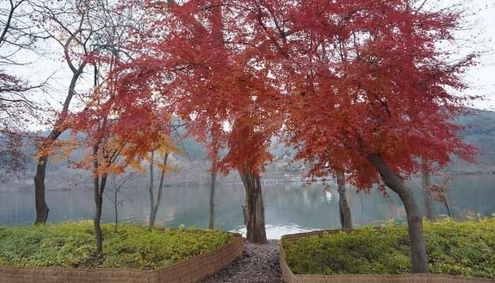 Nami Island