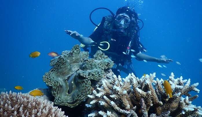 Neel Diving Institute