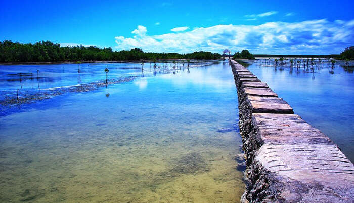 Olango Island Wildlife Sanctuary