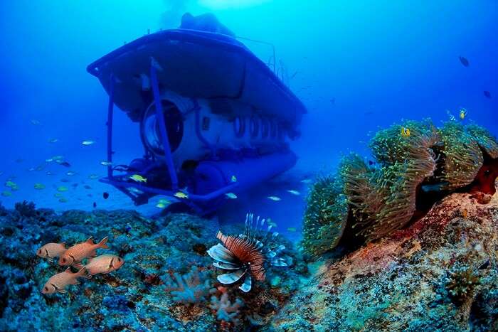 Opt For Blue Safari Submarine