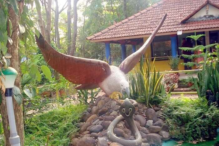 5 Zoos In Kerala To Witness The Spectacular Wildlife Down South