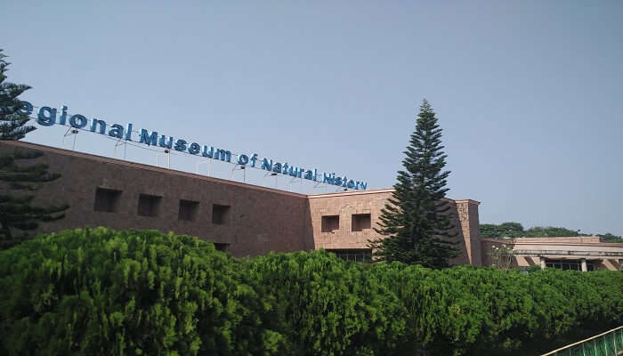 Regional Museum of Natural History