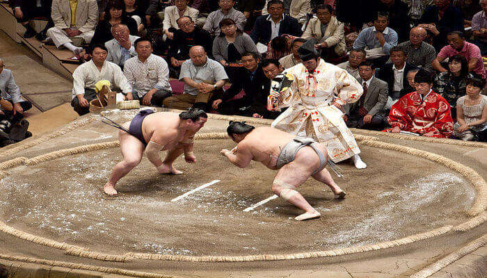 Watch A Sumo Show