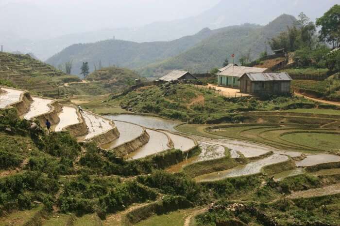 lush Hoàng Liên Son Mountains