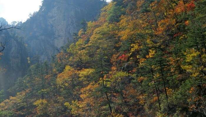 Seoraksan National Park