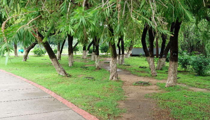 Terraced-Garden