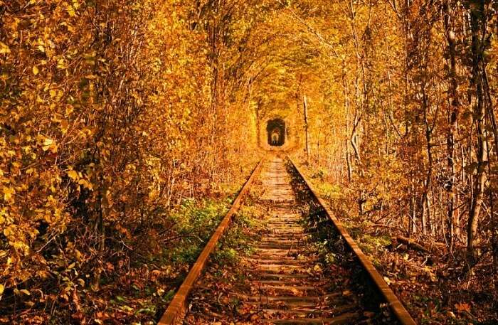 Tunnel of Love View In Ukraine