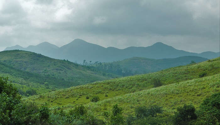 Vagamon is an offbeat hill station which is known as one of the best places to visit in November in India