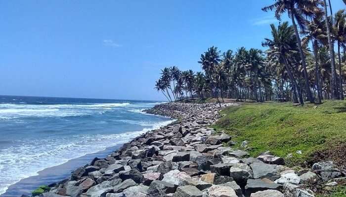 Varkala Beach View