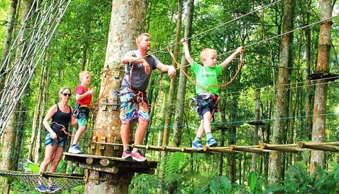 treetop adventure park bali