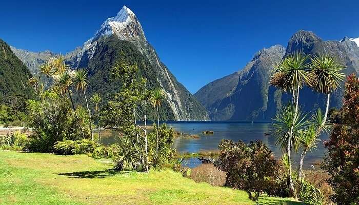 new zealand mountains, best places to visit in December in the world