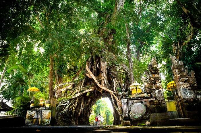 3 Best Places To Visit In Jembrana  Regency Bali 