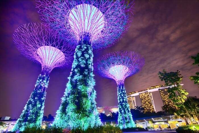 gardens by the bay