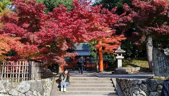 Arashiyama Momiji Festival