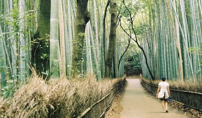 Arashiyama