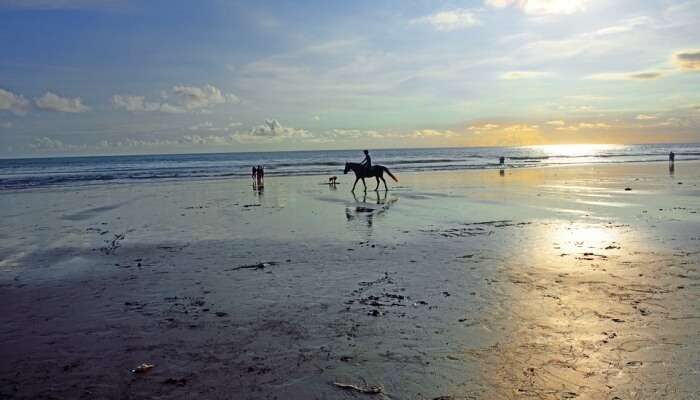 Beach Hopping