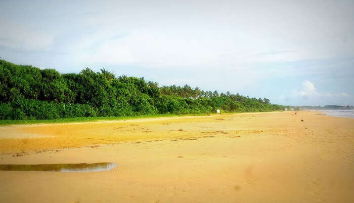 Bentota Beach