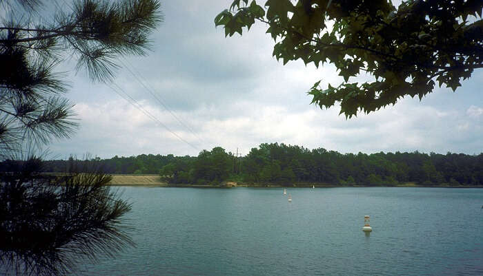 Best Time For Snorkeling In Texas