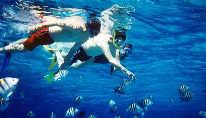 Best Time To Go For Snorkeling In Aqaba