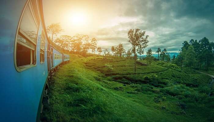 Best Time To Go For Sri Lanka Group Tours