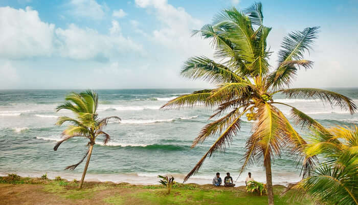 Best Time To Visit Sri Lanka