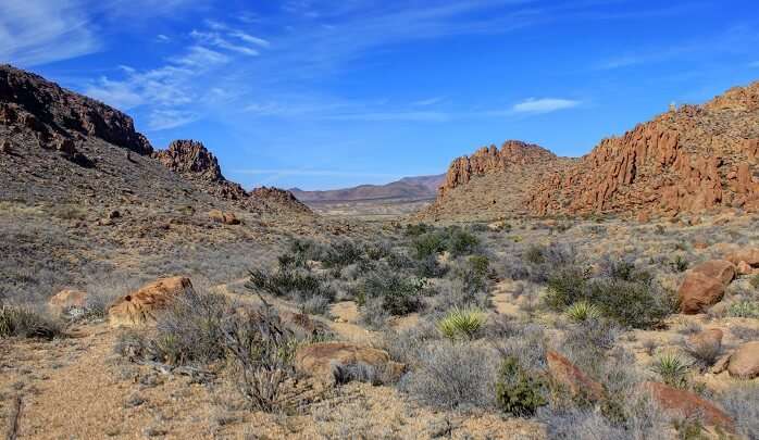 Big-Bend-National-Park2