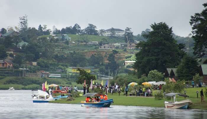 Boat-Ride-On-Gregory-Lake