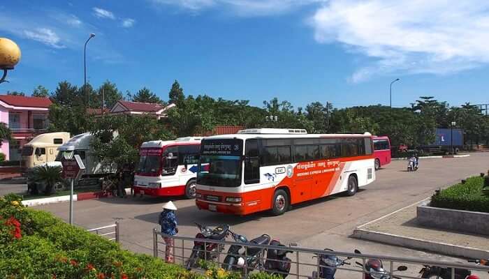 Buses View