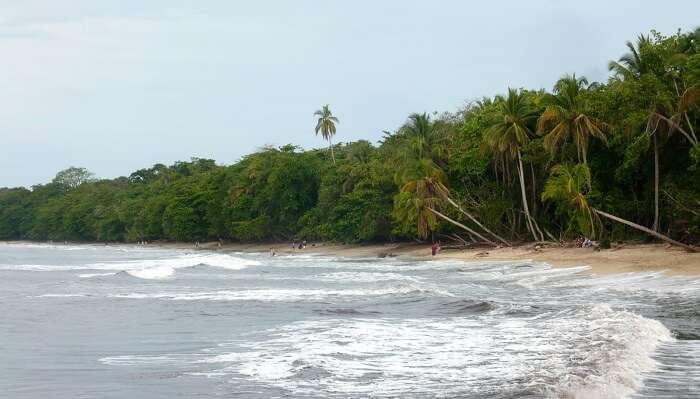 cahuita costa rica