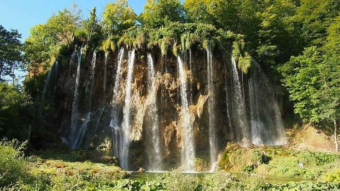 Cattail Falls