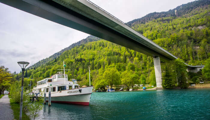 cruises in switzerland